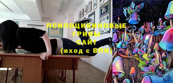 молекула духа Анжеро-Судженск