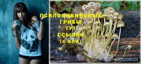 дживик Аша