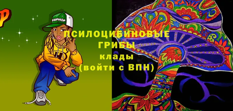 хочу   Козельск  Галлюциногенные грибы Cubensis 