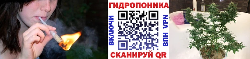 blacksprut рабочий сайт  Козельск  МАРИХУАНА Bruce Banner  хочу  